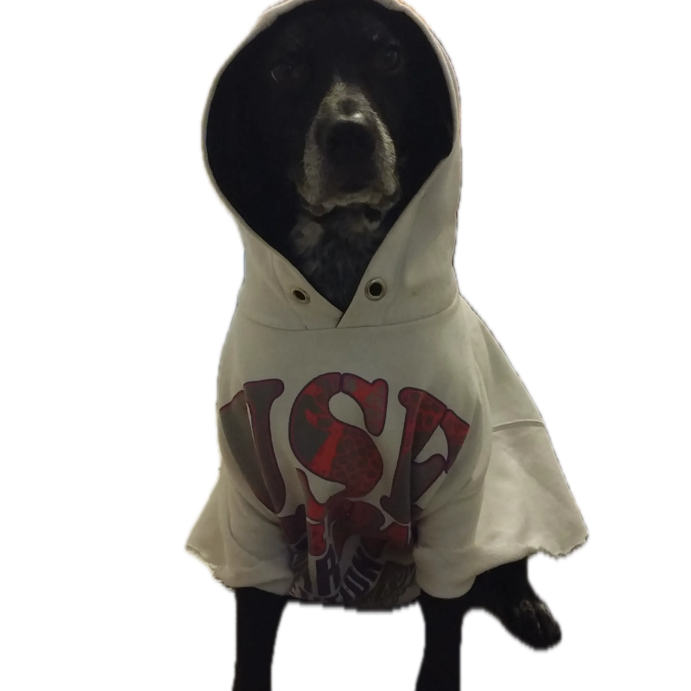 best-boy